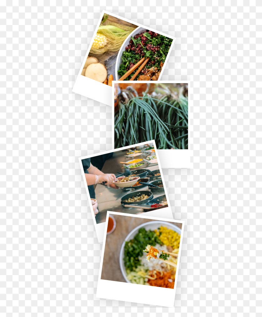 381x954 Traditional Korean Recipes Such As Bibimbap Adhere Side Dish, Person, Human, Plant HD PNG Download