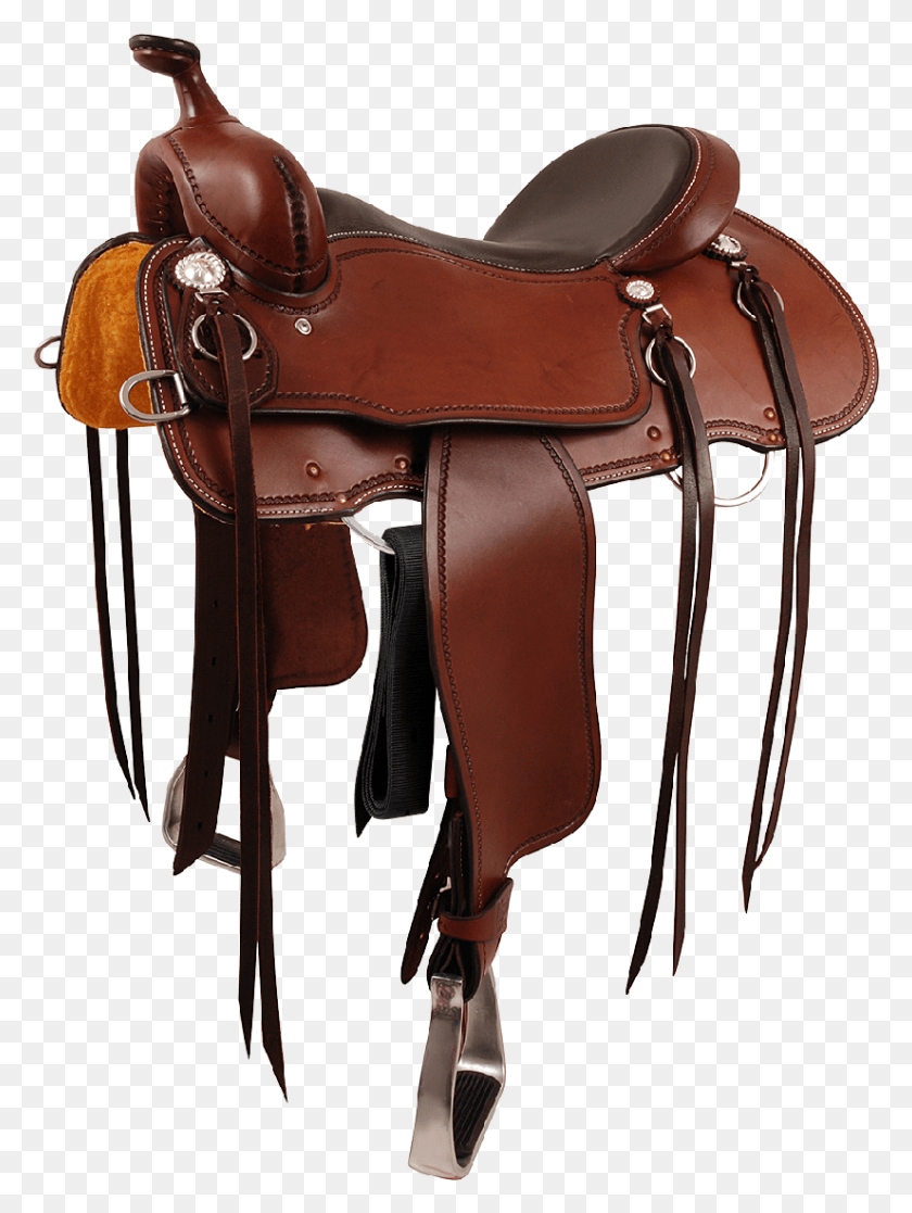 825x1118 Trailblazer Saddle Horse Saddle HD PNG Download