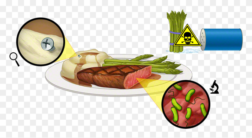 838x431 Training Tip Understanding Food Hazards Food Hazards, Dish, Meal, Platter HD PNG Download