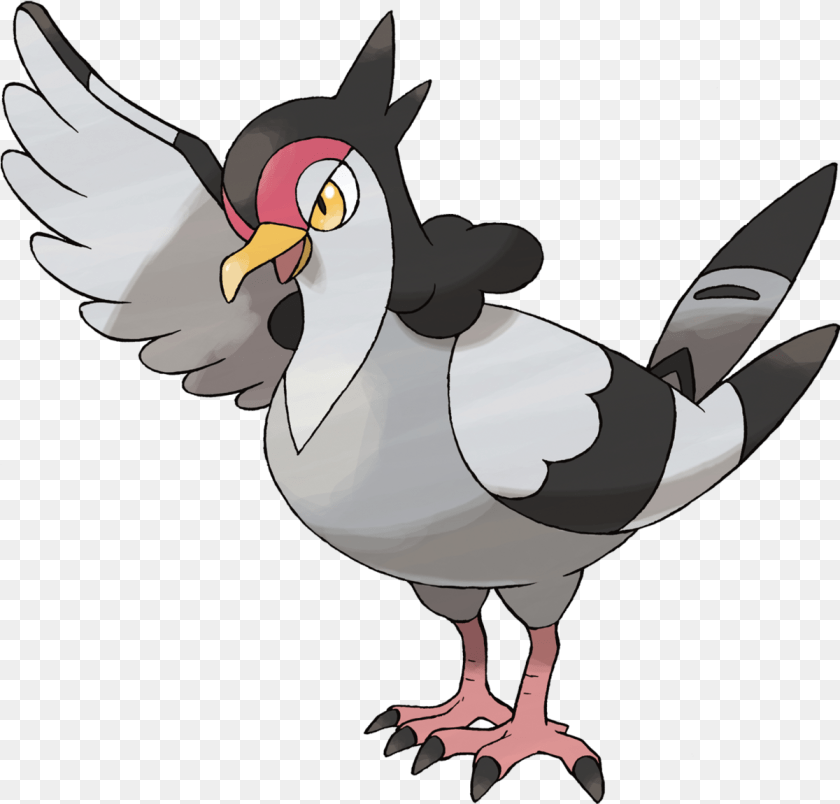 Tranquill Black And White Bird Pokemon, Animal, Person, Beak Clipart PNG