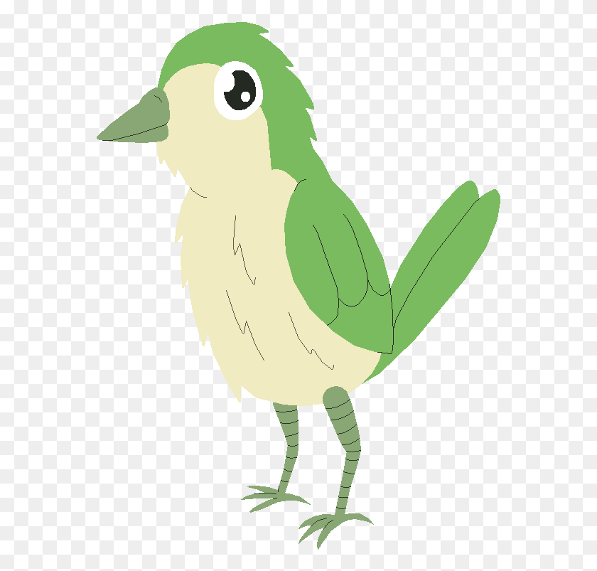 569x743 Transition Drawing Bird Perching Bird, Animal, Parrot, Parakeet HD PNG Download