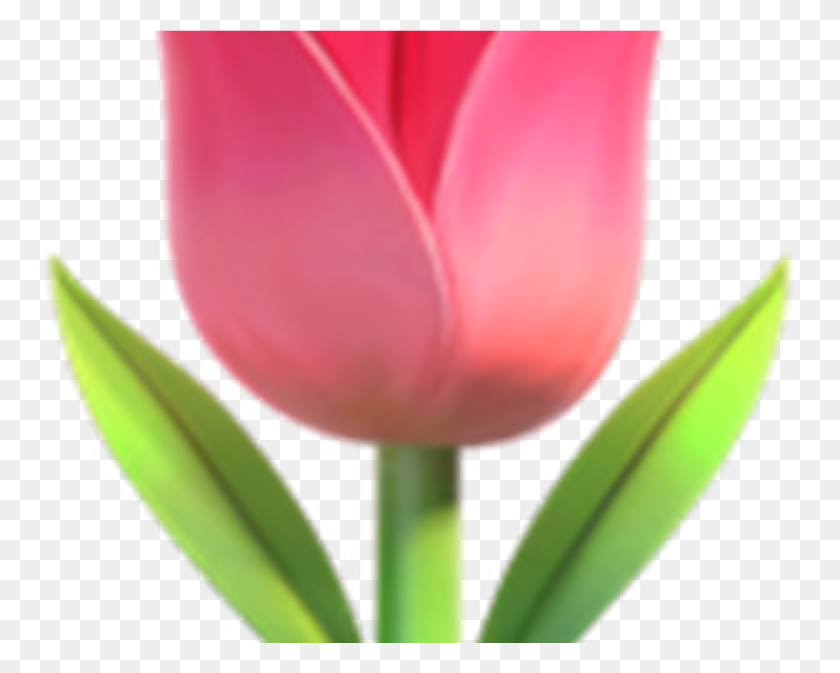 1088x856 Descargar Png Transpa Flower Emoji Hot Trending Now Emoji, Planta, Tulip, Blossom Hd Png