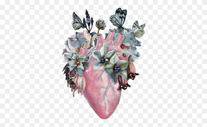341x455 Descargar Png Transparencia Metamorfosis Arte Realista Corazón Tatuaje Corazón Humano Metamorfosis, Planta, Diseño Floral, Patrón Hd Png