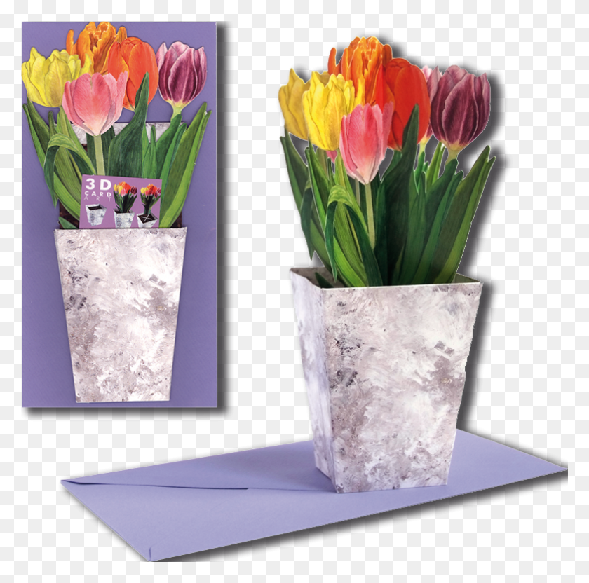 785x777 Transparent 3d Vase Flowers, Plant, Flower, Blossom HD PNG Download