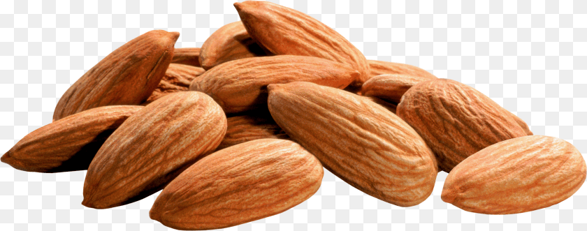 Almond Sticker PNG