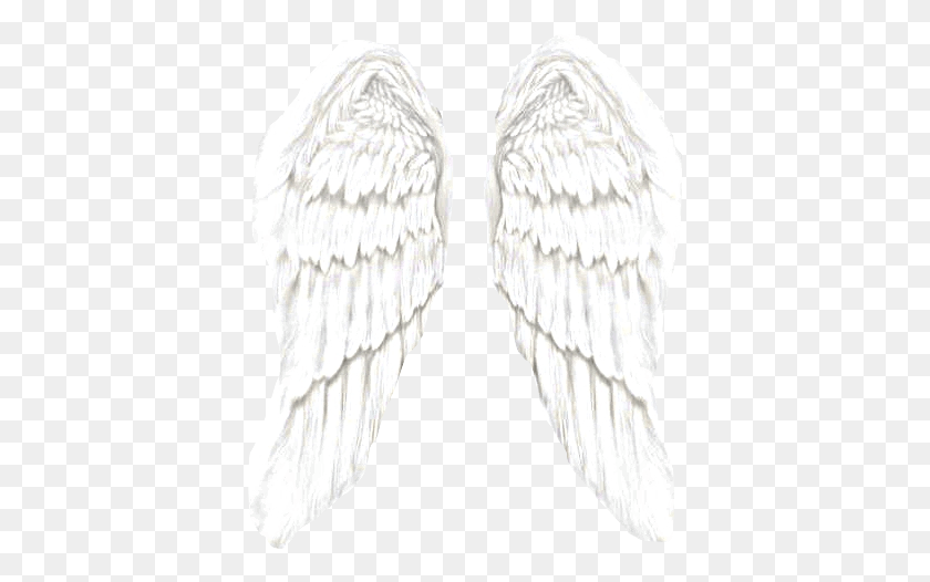 393x466 Transparent Angel Wingsangel Wings Tumblr Angel Wings, Archangel, Bird HD PNG Download