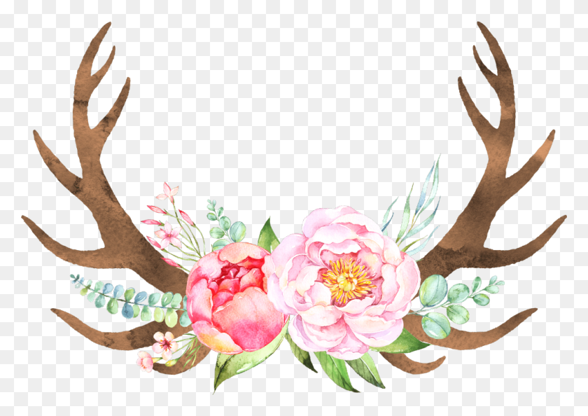 1024x702 Transparent Antlers She Is More Precious Than Jewels Bible Verse, Floral Design, Pattern, Graphics HD PNG Download