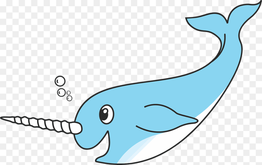 960x604 Transparent Arctic Cartoon Transparent Background Narwhal, Animal, Mammal, Sea Life, Whale Clipart PNG