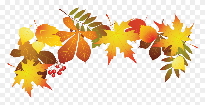 6510x3103 Transparent Autumn Leaves Decoration Clipart Image Transparent Background Fall Leaves Clip Art, Leaf, Plant, Maple Leaf HD PNG Download