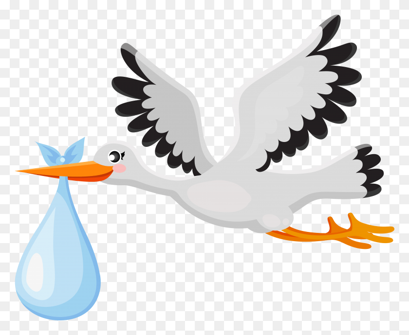 7855x6344 Transparent Baby Banner, Animal, Bird, Waterfowl HD PNG Download