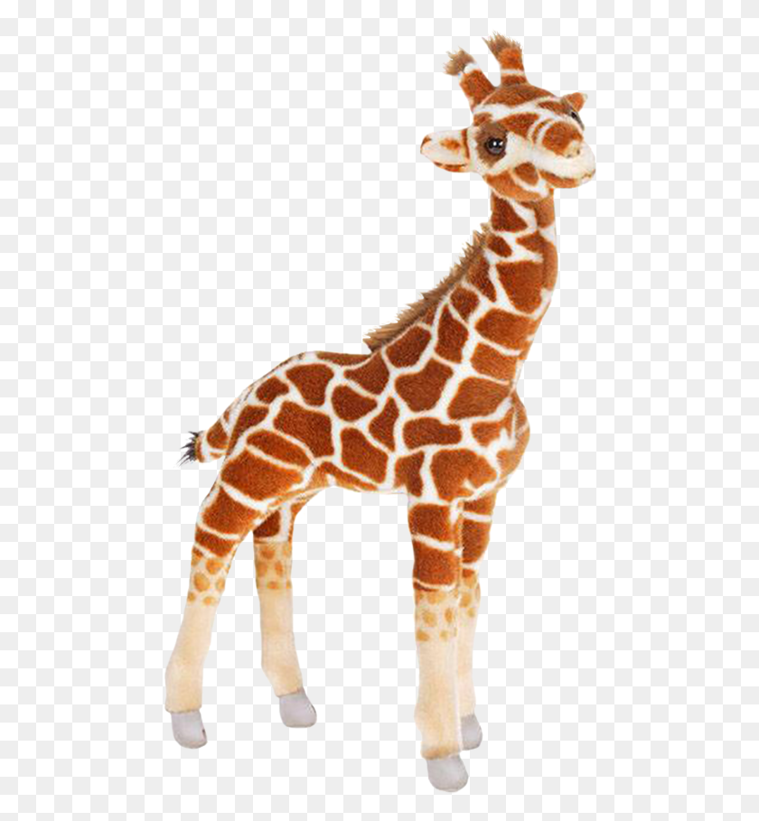 482x849 Transparent Baby Giraffe Stuffed Animal Giraffe Transparent Background, Wildlife, Mammal, Gecko HD PNG Download