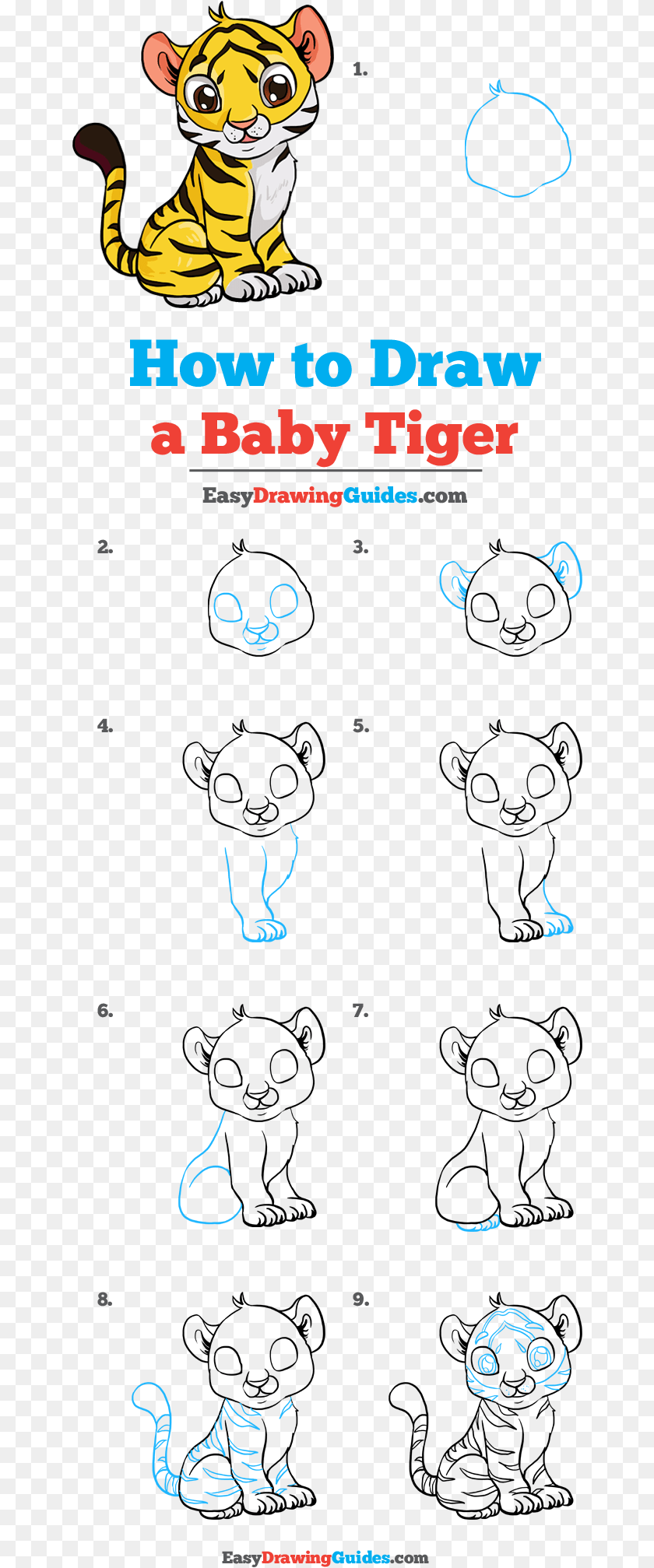 656x2015 Baby Tiger Easy How To Draw A Baby Tiger, Animal, Lion, Mammal, Wildlife Transparent PNG