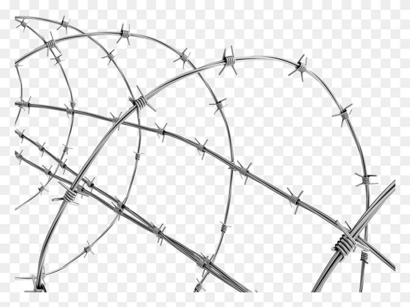 1601x1171 Transparent Background Barbed Wire, Bow, Wire HD PNG Download
