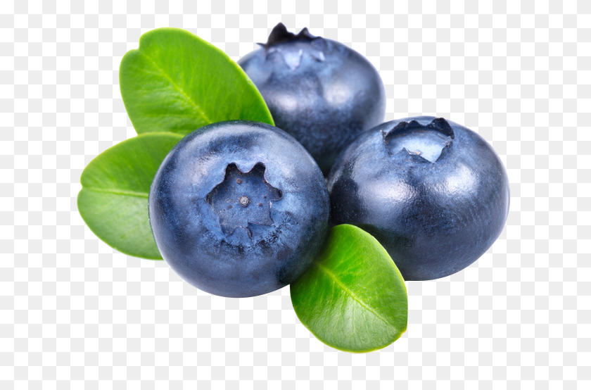 648x494 Transparent Background Blueberry, Fruit, Plant, Food HD PNG Download