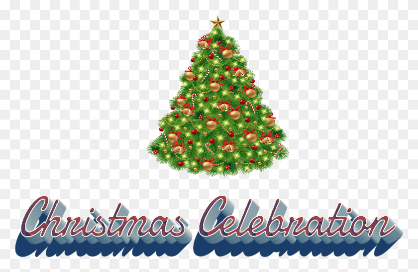 1673x1044 Transparent Background Christmas Tree Clipart, Tree, Plant, Ornament HD PNG Download