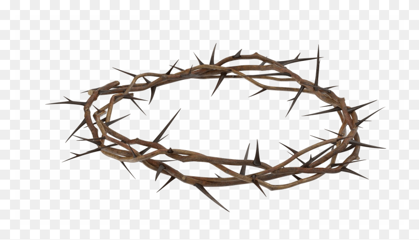 1480x800 Transparent Background Crown Of Thorns, Barbed Wire, Wire, Antler HD PNG Download