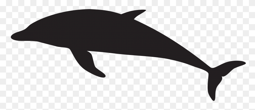 7869x3069 Png Дельфин, Млекопитающее, Животное, Морская Жизнь, Прозрачный Фон