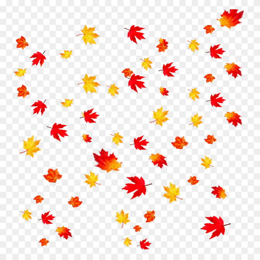 1024x1024 Transparent Background Falling Leaves Transparent Background Fall Leaves Clipart, Leaf, Plant, Paper HD PNG Download