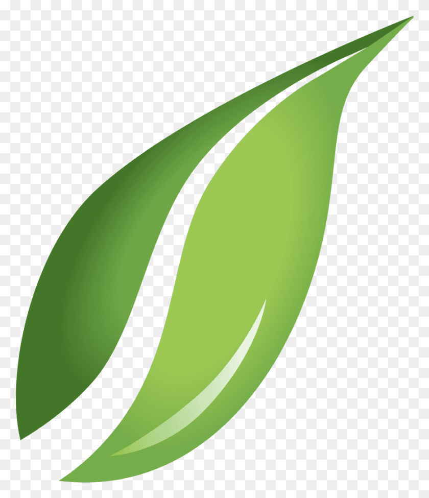 872x1023 Transparent Background Leaf Clipart, Plant, Fruit, Food HD PNG Download