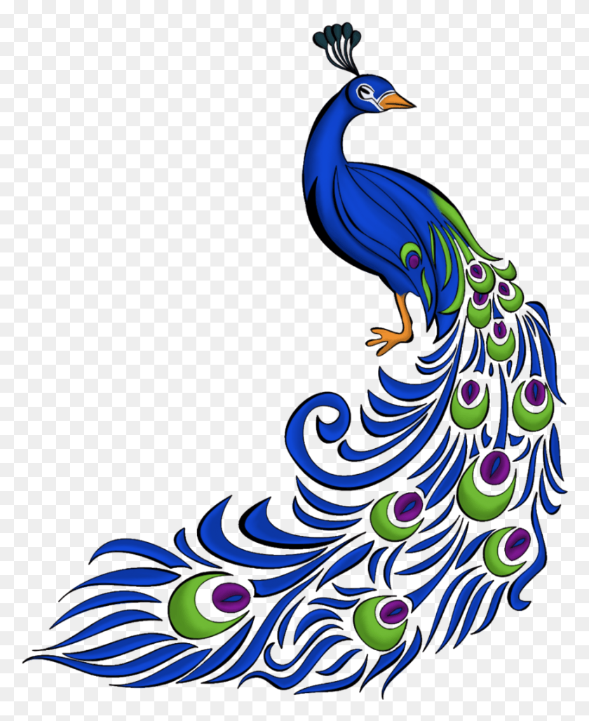 867x1076 Transparent Background Peacock Clipart, Bird, Animal HD PNG Download