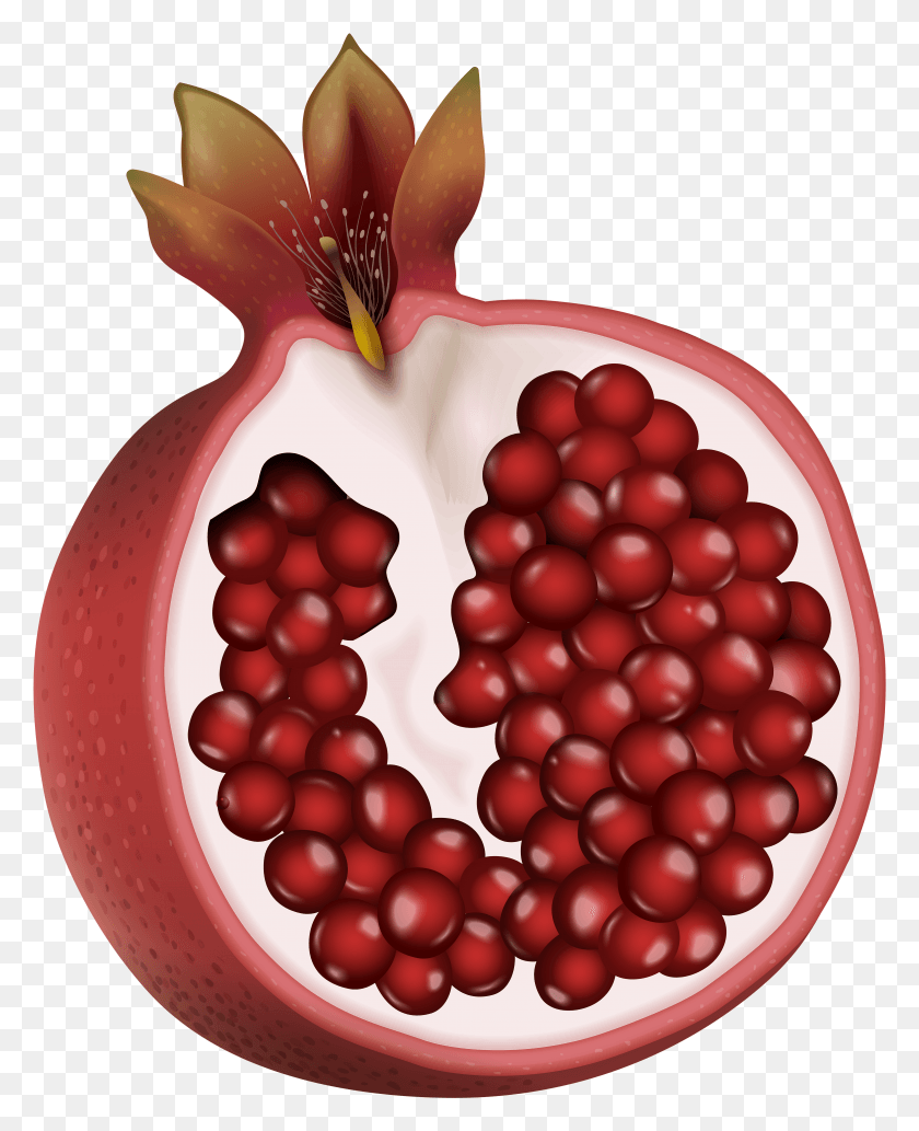 3930x4906 Transparent Background Pomegranate Clipart HD PNG Download
