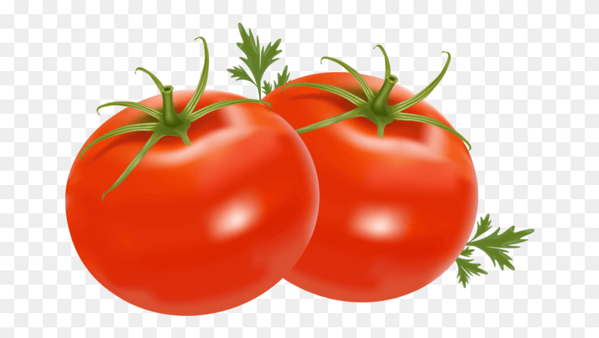 662x415 Transparent Background Tomatoes Clipart, Plant, Vegetable, Food HD PNG Download