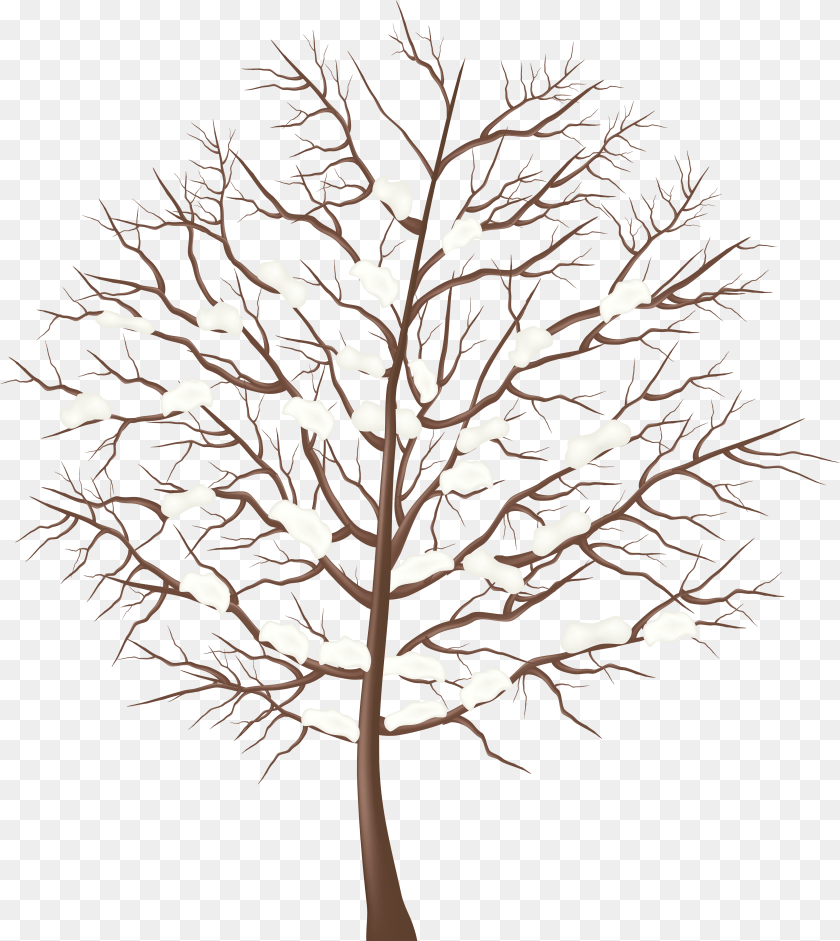 4403x4932 Transparent Background Winter Trees Clipart Snow, Plant, Lighting, Lamp, Tree Sticker PNG