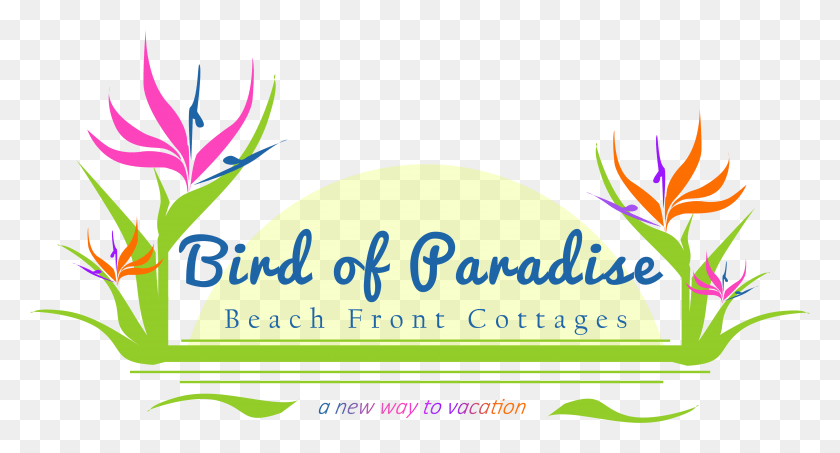 4195x2117 Transparent Bird Of Paradise Plant, Graphics, Text HD PNG Download