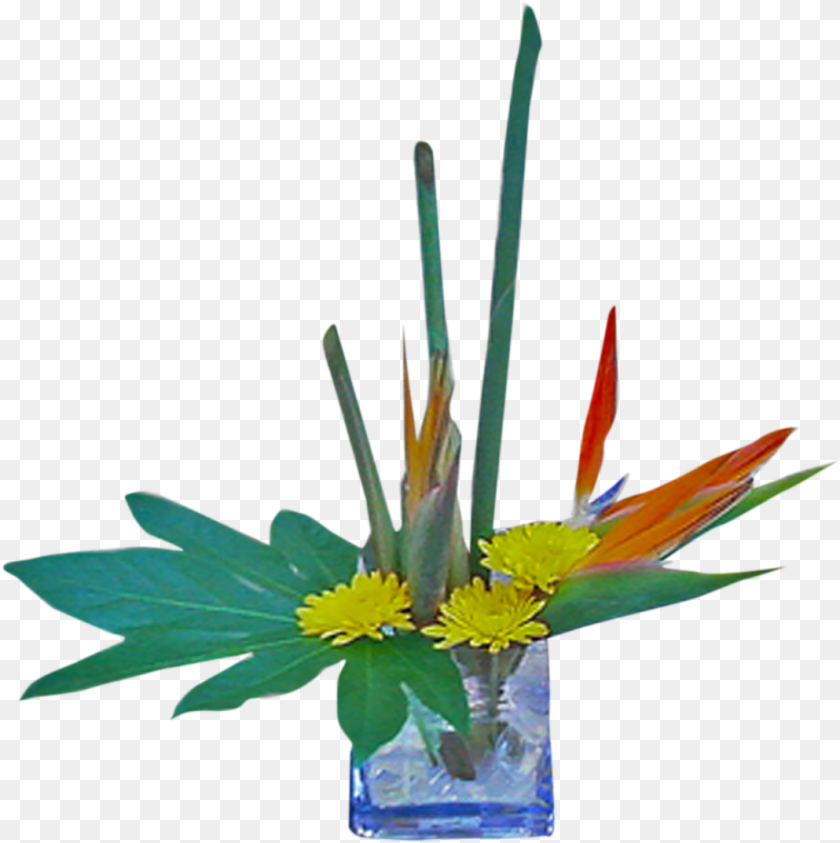 1069x1073 Transparent Bird Of Paradise Plant Bouquet, Flower, Flower Arrangement, Ikebana, Flower Bouquet Clipart PNG