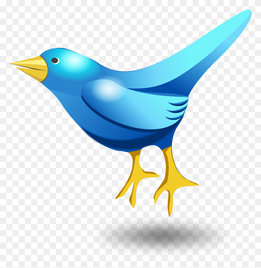 1865x1918 Голубая Птица Png Изображения