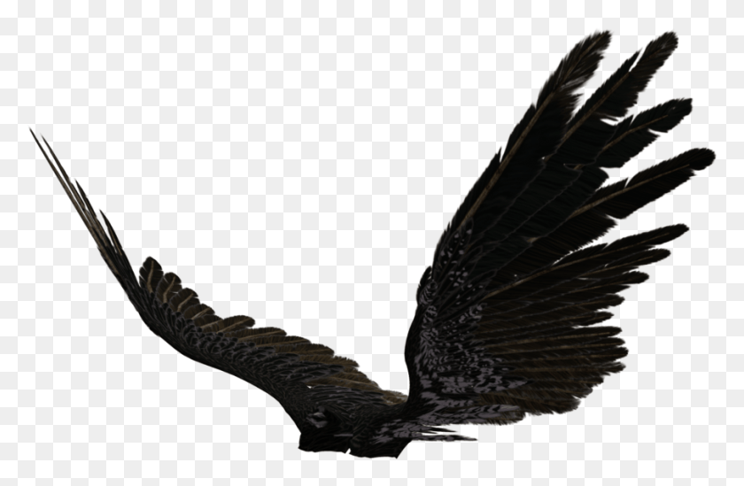 903x567 Transparent Black Angel Wings, Bird, Animal, Snake HD PNG Download
