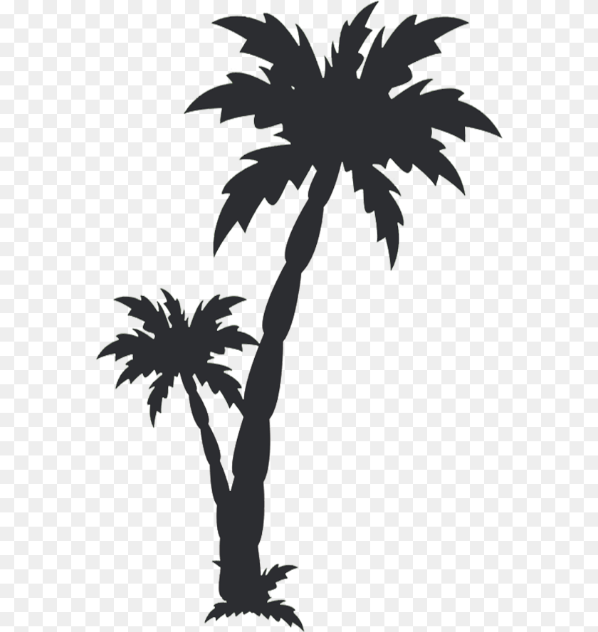 572x888 Black Palm Tree Black Date Tree, Palm Tree, Plant, Person Transparent PNG