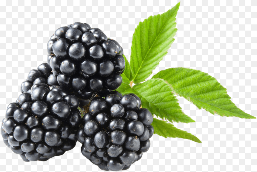 1064x713 Blackberry Fruit, Berry, Food, Plant, Produce Transparent PNG