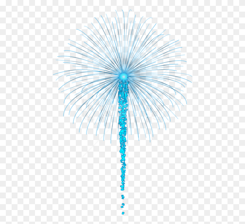 480x708 Прозрачный Синий Фейерверк, Растение, Одуванчик, Цветок Hd Png Скачать
