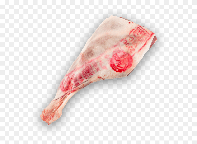 588x555 Transparent Bone Lamb Shank Goat Meat, Bird, Animal, Food HD PNG Download