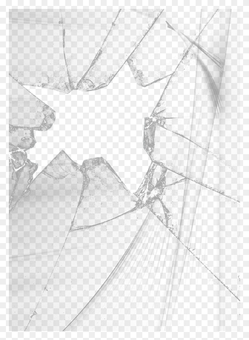 1468x2046 Transparent Broken Screen, Spider Web, Animal, Spider HD PNG Download