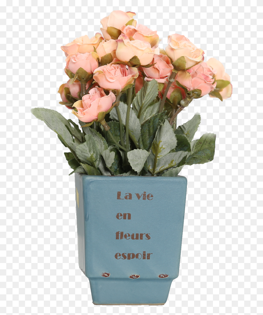 647x946 Цветочные Садовые Розы, Растение, Цветение, Цветочная Композиция Png Скачать