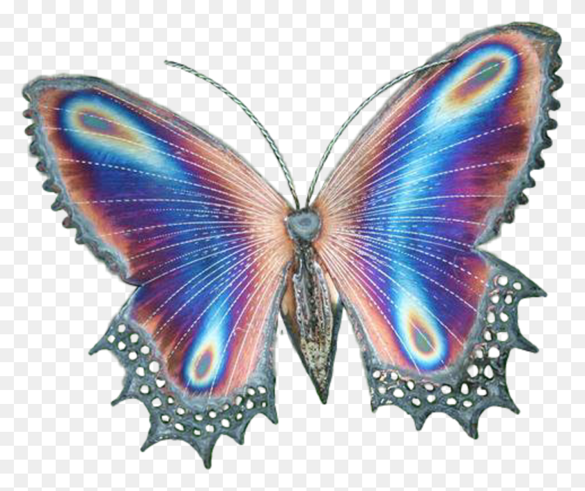 1024x847 Прозрачные Бабочки Бабочки Крылья Бабочки Прозрачные Крылья Бабочки, Орнамент, Узор, Фрактал Png Скачать