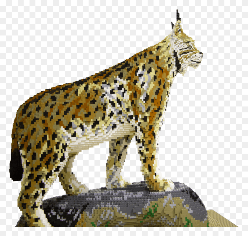 886x839 Transparent Caracal Leopard, Cheetah, Wildlife, Mammal HD PNG Download