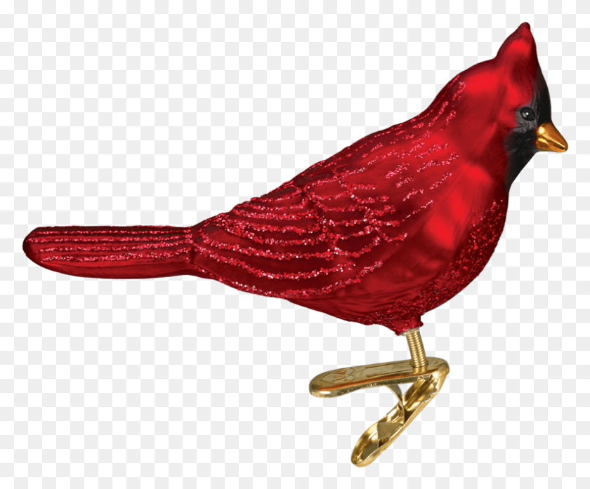791x646 Transparent Cardinal Bird Northern Cardinal, Finch, Animal, Canary HD PNG Download