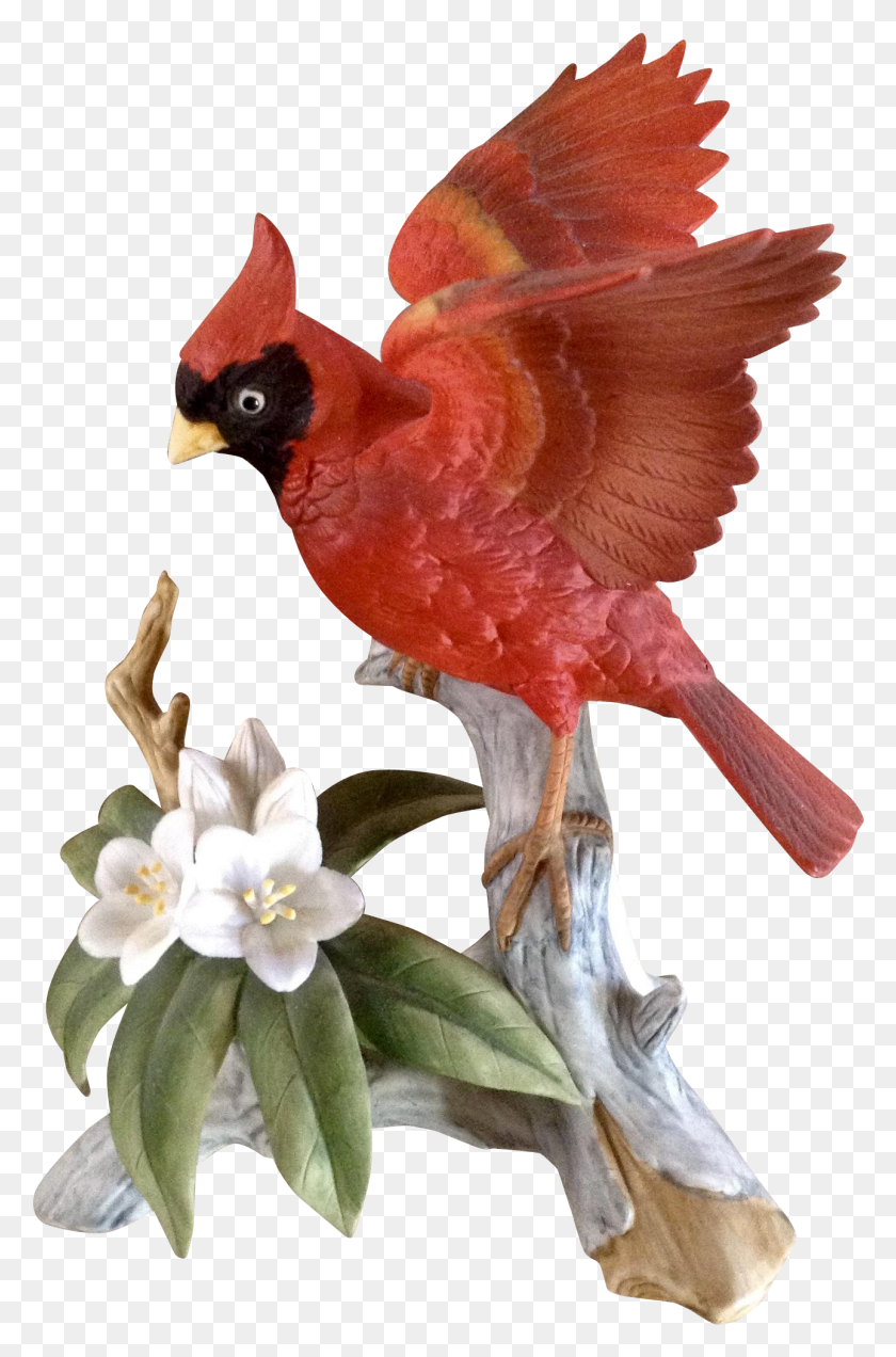 1290x2005 Transparent Cardinal Bird Vintage Bird With Red Flowers, Animal, Chicken, Poultry HD PNG Download