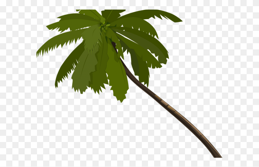 606x481 Transparent Cartoon Palm Tree Palm Trees Animated, Leaf, Plant, Tree HD PNG Download