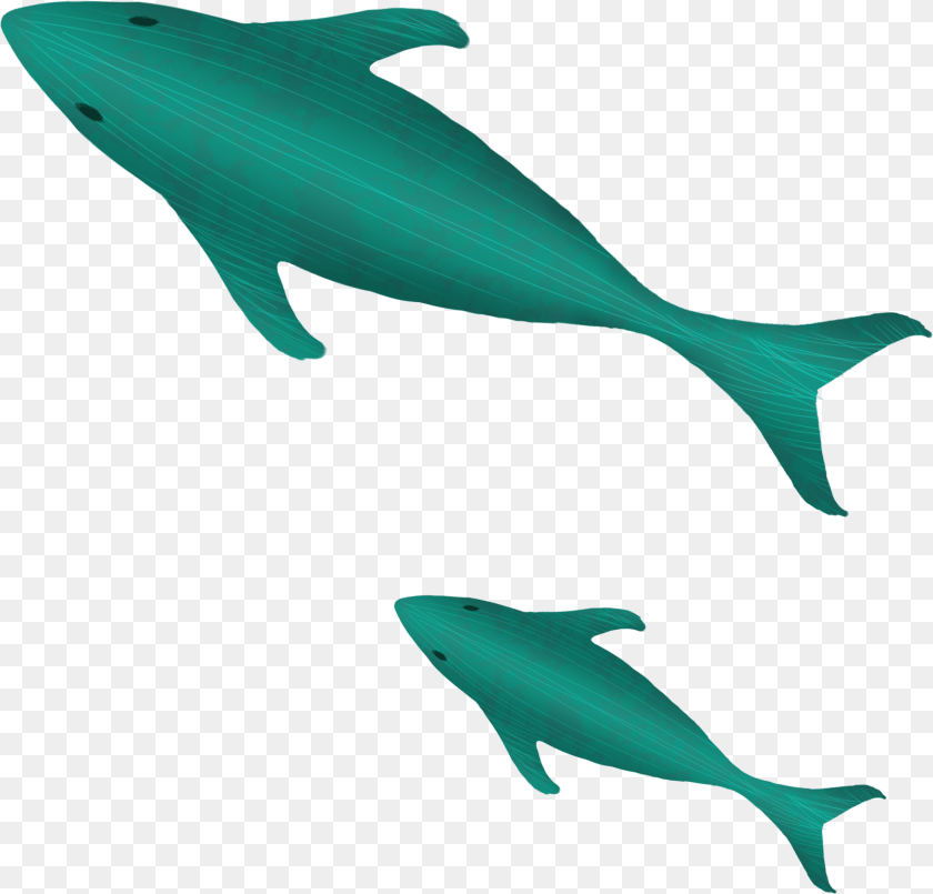 1605x1539 Transparent Cartoon Whale Animal Figure, Fish, Sea Life, Dolphin, Mammal Sticker PNG