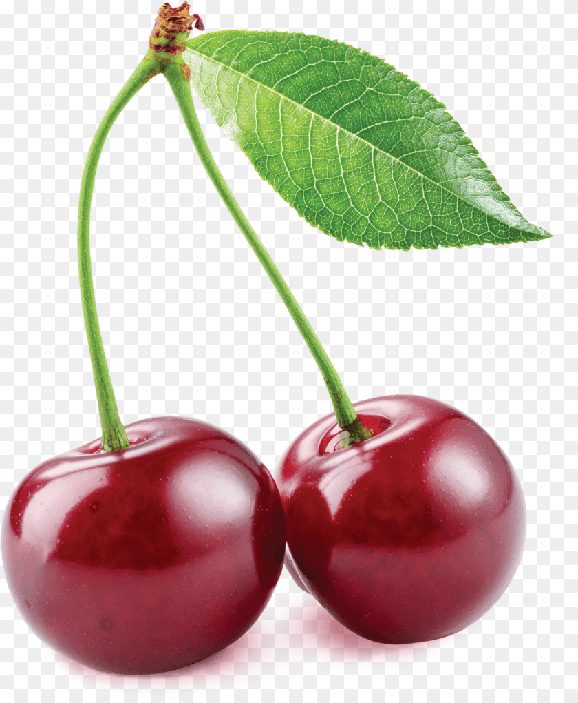 1094x1328 Transparent Cherries Clipart Sour Cherry, Food, Fruit, Plant, Produce Sticker PNG