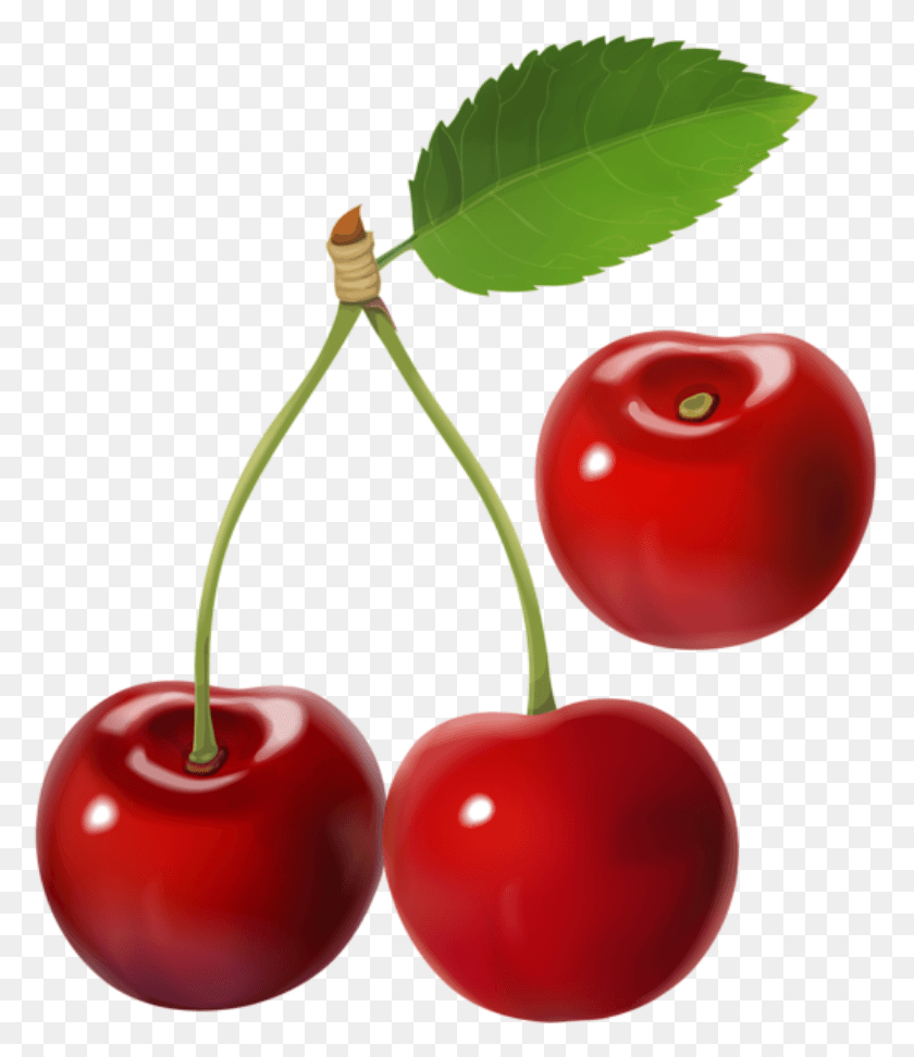 779x912 Transparent Cherry, Plant, Fruit, Food HD PNG Download