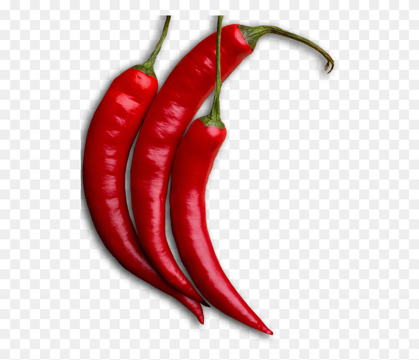 518x662 Прозрачный Логотип Чили Чили Де Арбол, Растение, Овощи, Еда Png Скачать