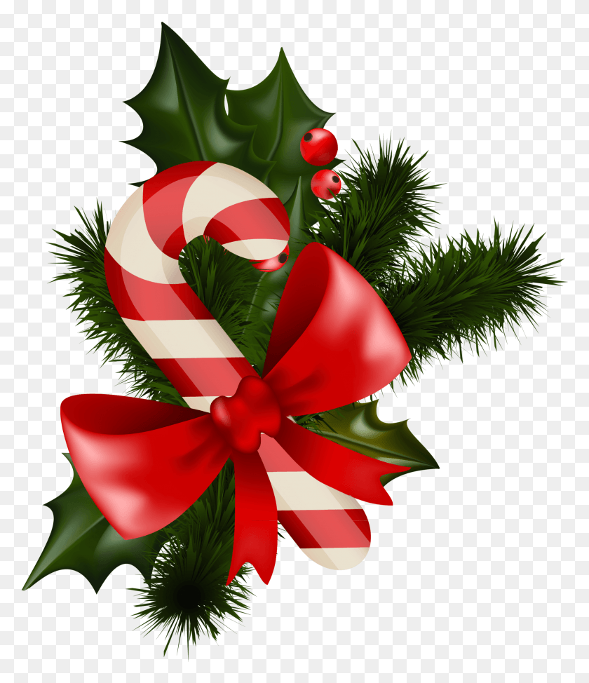 2222x2606 Transparent Christmas Candy Cane, Plant, Tree, Flower HD PNG Download