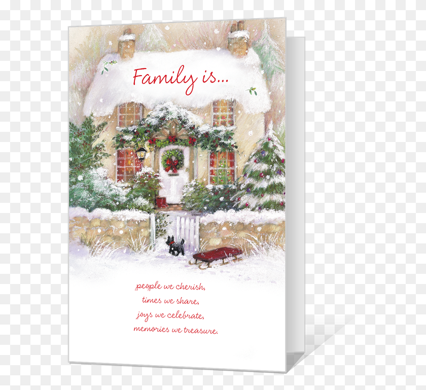 579x709 Transparent Christmas Card Frame Craft, Outdoors, Nature, Plant HD PNG Download