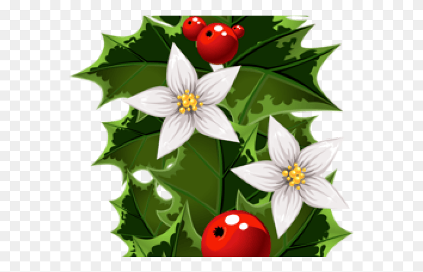 566x481 Transparent Christmas Garland Clipart, Leaf, Plant, Strawberry HD PNG Download