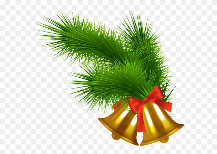 589x537 Descargar Png / Hierba De Navidad Transparente, Planta, Verde, Gráficos Hd Png